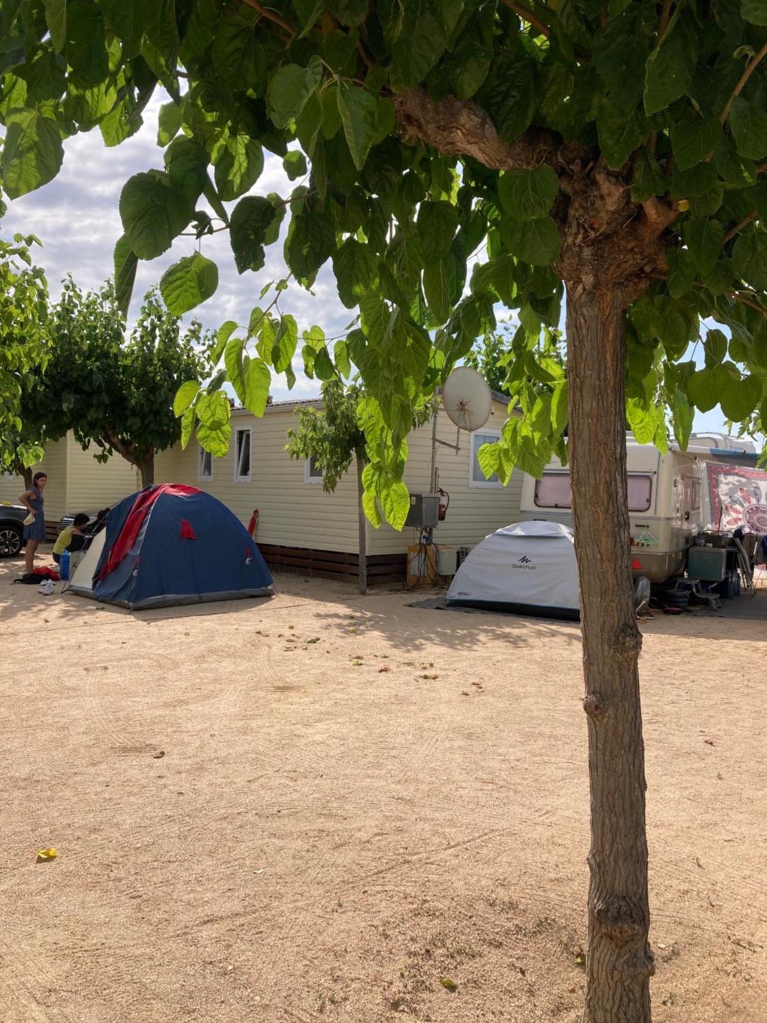 Camping El Pinar Platja Santa Susanna Exteriör bild